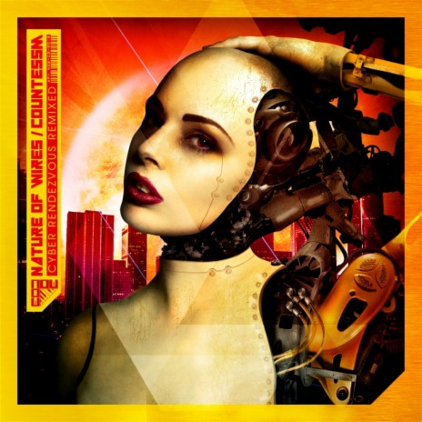 Cyber Rendezvous (Ruinizer Remix) ft. CountessM