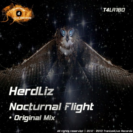 Nocturnal Flight (Original Mix)