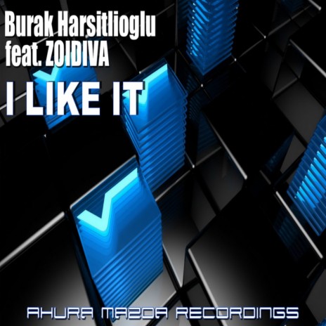 I Like It (Original Mix) ft. ZoiDiva | Boomplay Music