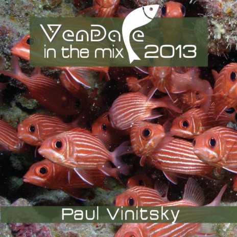 Vendace In The Mix 2013 (Continuous DJ Mix) | Boomplay Music