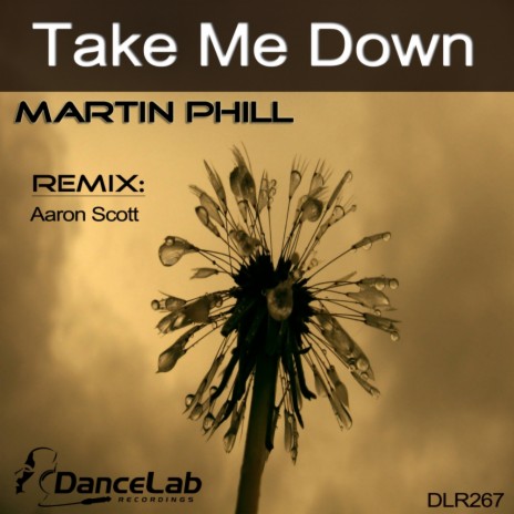 Take Me Down (Aaron Scott Remix)