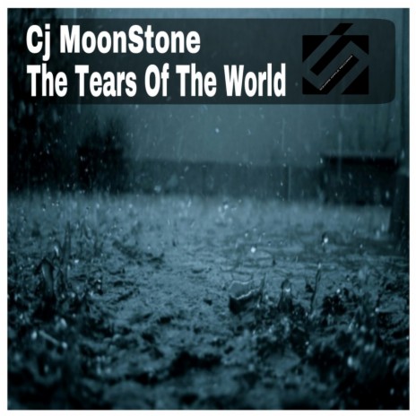 The Tears of The World (Original Mix) | Boomplay Music