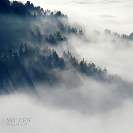 Voices | Boomplay Music