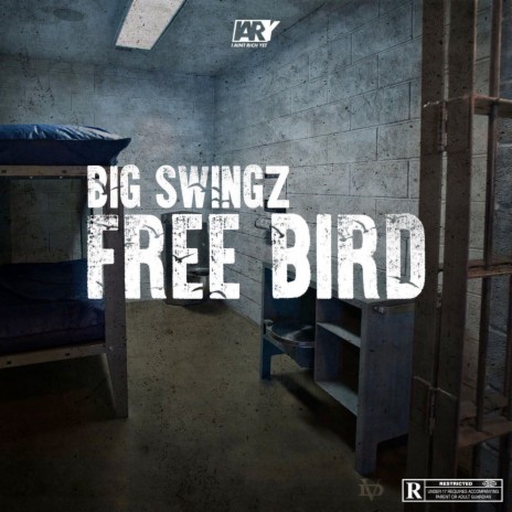 Free Bird | Boomplay Music