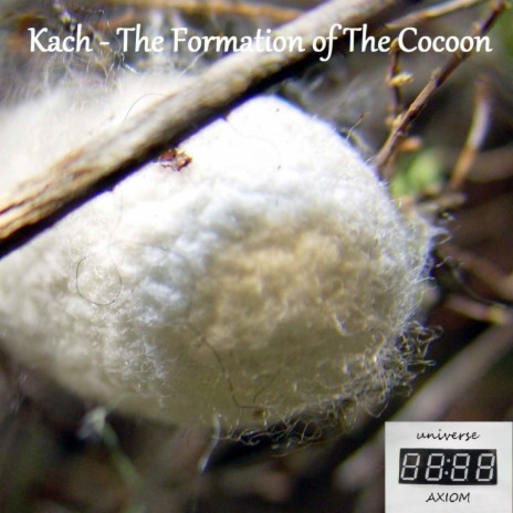 The Formation of The Cocoon (Original Mix)