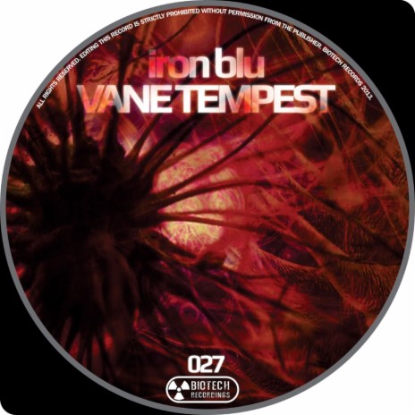 Vane Tempest (Original Mix) | Boomplay Music
