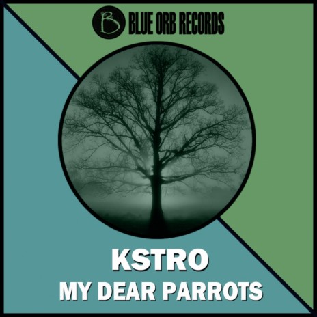 My Dear Parrots (Original Mix) | Boomplay Music