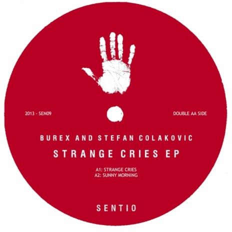 Strange Cries (Original Mix) ft. Stefan Colakovic
