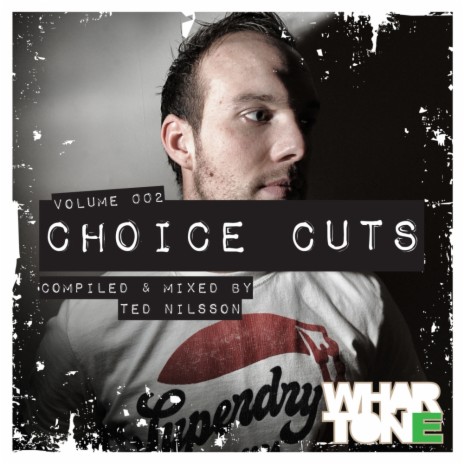 Choice Cuts Volume 2 Mixed by Ted Nilsson (Continuous DJ Mix)