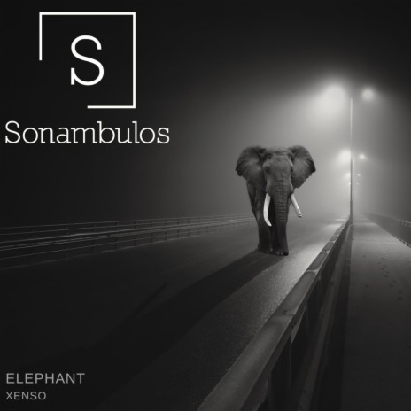 elephant (original Mix)