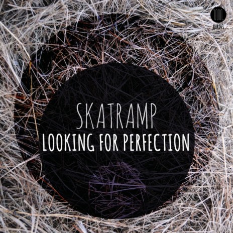 Looking For Perfection (Shari DeLorian Remix) | Boomplay Music