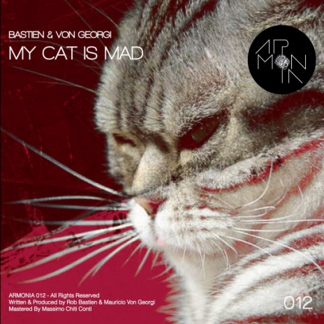 My Cat Is Mad (Original Mix) ft. Von Georgi | Boomplay Music