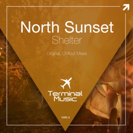 Shelter (Original Mix) | Boomplay Music