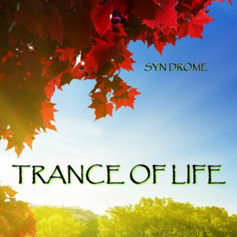 Trance Of Life (Original Mix)
