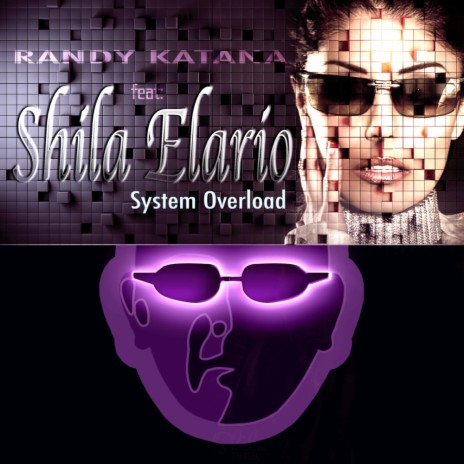 System Overload (Eric van Kleef Dubmix) ft. Shila Elario | Boomplay Music