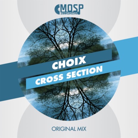 Cross Section (Original Mix)