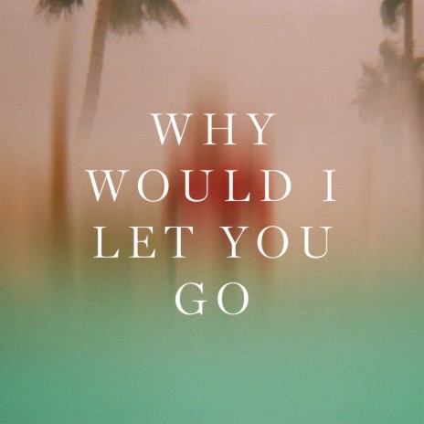 Why Would I Let You Go | Boomplay Music