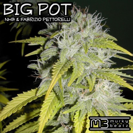 Big Pot (Twitchin Skratch Mix) ft. Fabrizio Pettorelli