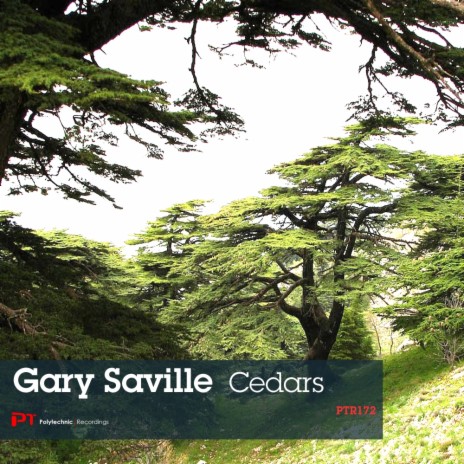 Cedars (Original Mix)