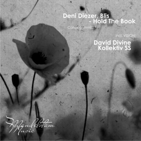 Hold The Book (Original Mix) ft. Blis