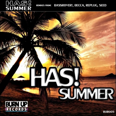 Summer (Bassrover! Remix)