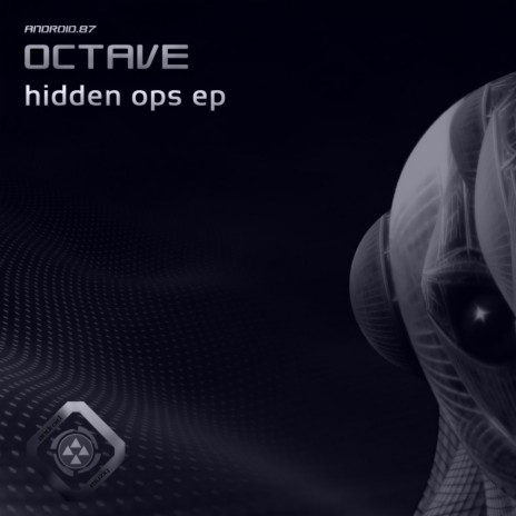 Hidden Ops (Original Mix)