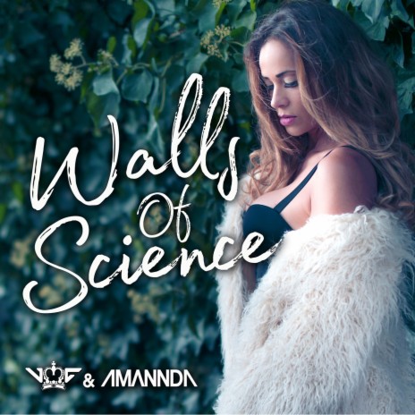 Walls of Science (Tommy Love Babylon Remix) ft. Amannda | Boomplay Music