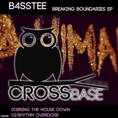 Bring The House Down (Original Mix)