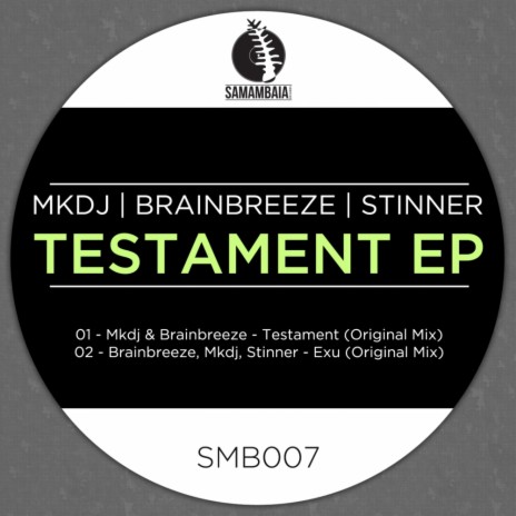 Testament (Original Mix) ft. Brainbreeze | Boomplay Music