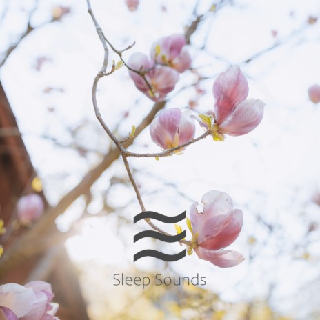 Babies Sleeping White Mellow Noise | Boomplay Music