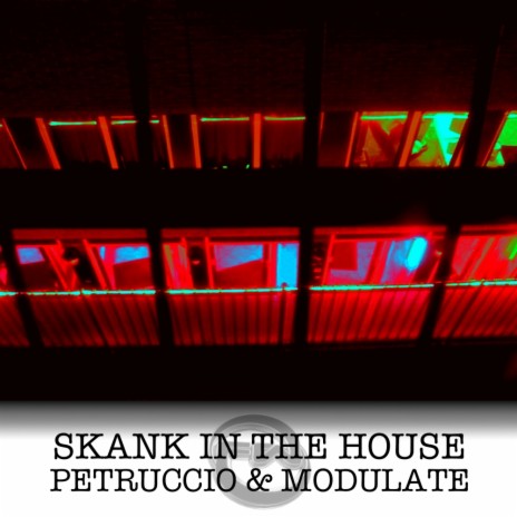 Skank In The House (Original Mix) ft. Modulate | Boomplay Music
