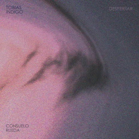 Despertar ft. Consuelo Rueda | Boomplay Music