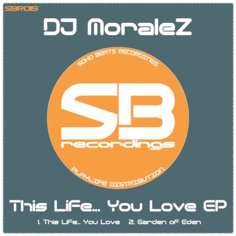 This Life... You Love (Original Mix) | Boomplay Music