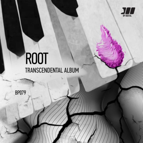 Transcendence (Original Mix) | Boomplay Music