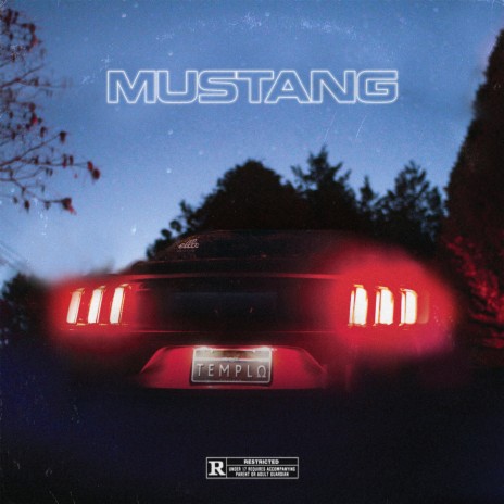 Mustang ft. DaMáfia, Gábe, Santa Rosa & NK | Boomplay Music