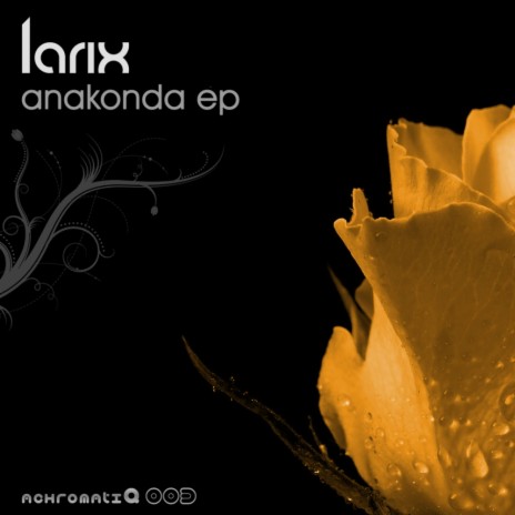 Anakonda (Original Mix)