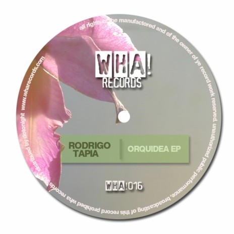Orquidea (Original Mix) - Rodrigo Tapia MP3 download | Orquidea (Original  Mix) - Rodrigo Tapia Lyrics | Boomplay Music