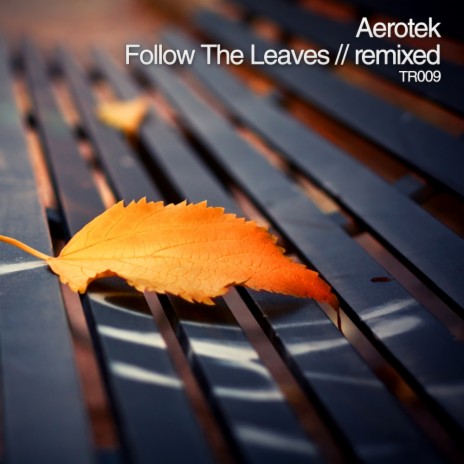 Follow The Leaves (Aero's Heat Seeking Remix) | Boomplay Music