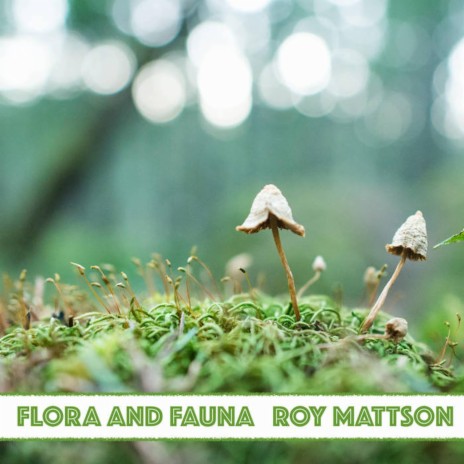 Flora and Fauna | Boomplay Music