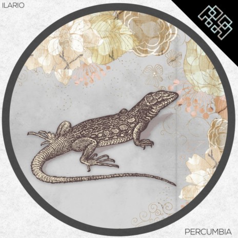 Percumbia (Bruno Rudich Remix)