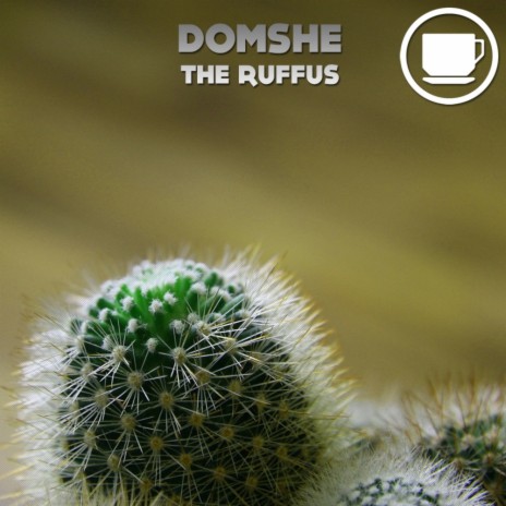 The Ruffus (Original Mix) | Boomplay Music