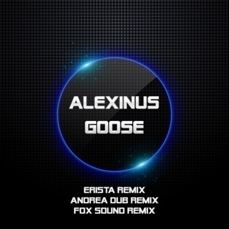 Goose (Fox Sound Remix) | Boomplay Music