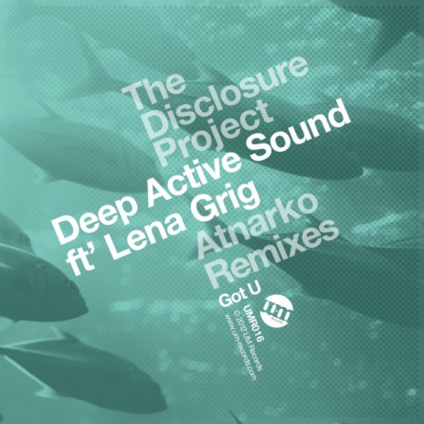 I'm Having Illusions (The Disclosure Project Remix) ft. Lena Grig