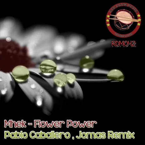 Flower Power (Jomas Remix) | Boomplay Music