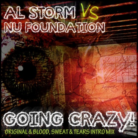 Going Crazy (Blood, Sweat & Tears Intro Mix) ft. Nu Foundation | Boomplay Music
