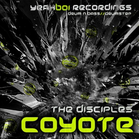 Coyote (Original Mix) | Boomplay Music