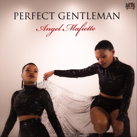 Perfect Gentleman | Boomplay Music