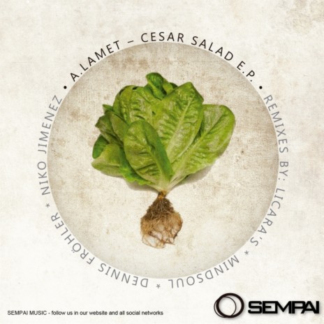 Cesar Salad (Dennis Frohler Remix) | Boomplay Music