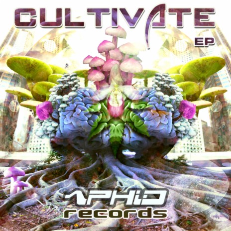 Cultivate (Orignal Mix) ft. Contineum | Boomplay Music