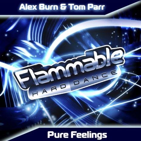 Pure Feelings (Original Mix) ft. Tom Parr | Boomplay Music